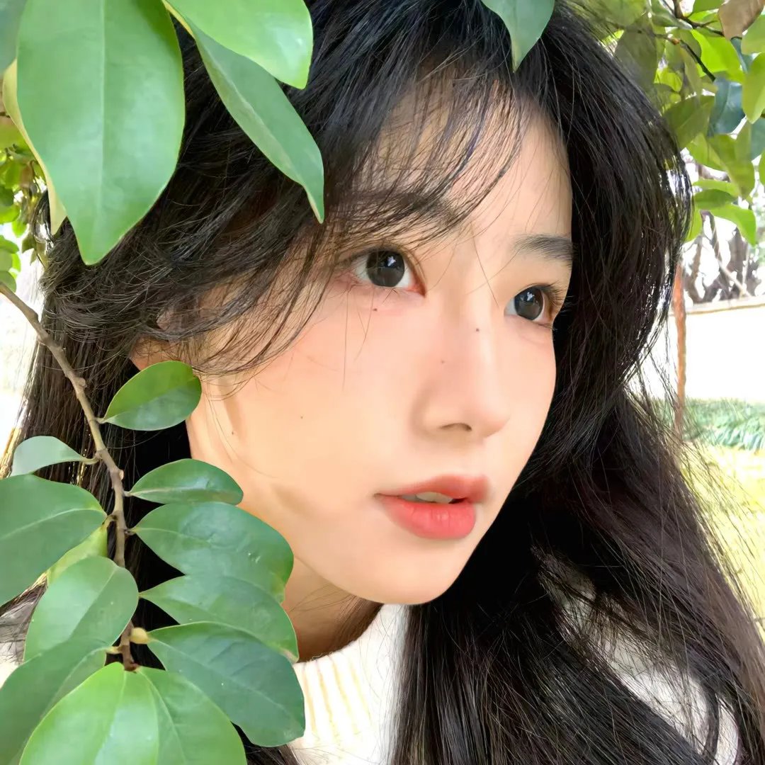 午夜下的刺花